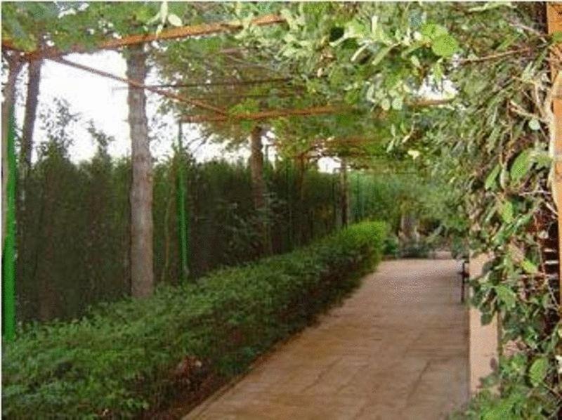 Casa Rural Entre Volcanes De אלמגרו מראה חיצוני תמונה